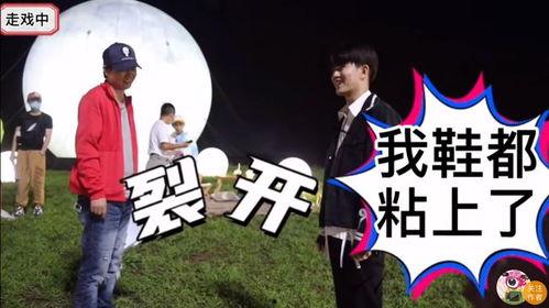 娱乐吃瓜娱乐间,吃瓜群众背后的故事