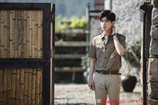 邢昭林楚乔传照片,深情演绎，共谱传奇